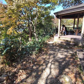 東屋あるよ