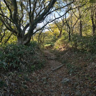 そのまま天山へ行かず、雨山方面へ向かうと