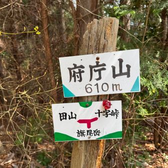 府庁山（ふちょうやま）
標高610m

昔、大阪府が個人所有のこの山に山主から許可をもらって植林させてもらったから、この名前になったみたい。……それなら山主さんの名前にしたら良かったのに🤣