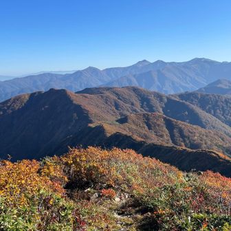 視線の先にようやくこの日の泊地が見えて来た。
稜線上、真ん中のなだらかな山容あたり。
その奥に遠く見えるひょっこりが大朝日岳。