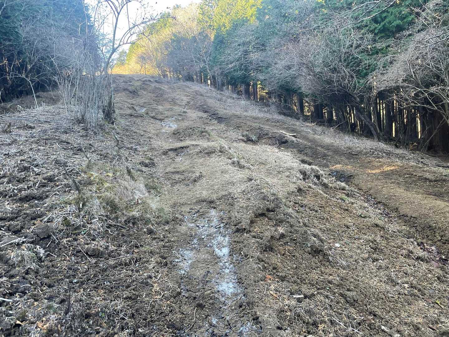 この辺り霜で凍っていました🧊溶けると歩きづらそうですが、今はそんなに滑らないし大丈夫でした。