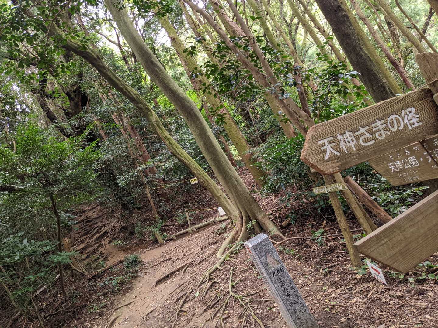 天拝山の9合目に合流✨