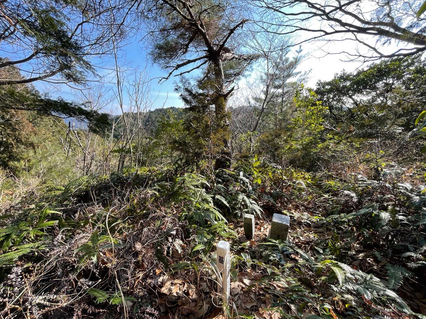 《名無しの山頂⛰》
「三角点△があれば登るっしょ🥾」