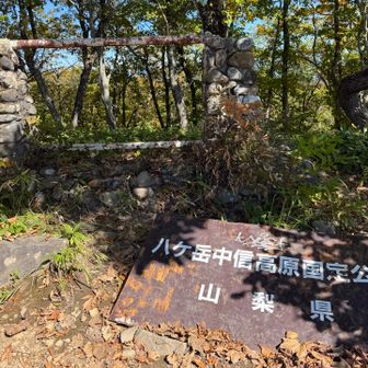 この辺りがホントの美し森山頂らしいのですが…