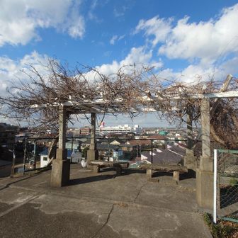 大土手山（ルボン山）の山頂