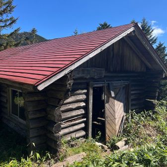 ヒカリゴケのある安平路避難小屋