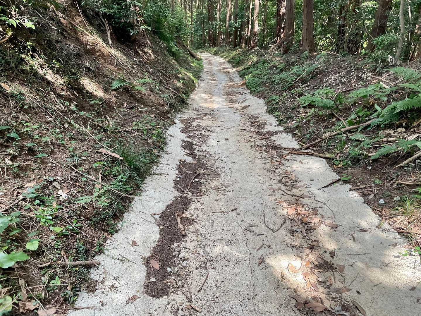 北向地蔵から鎌北湖を目指していますが、ここらへんだけなぜかセメントで固められていました。