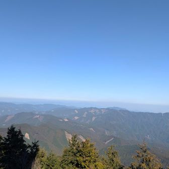 所々木が伐採されてて少し悲しい