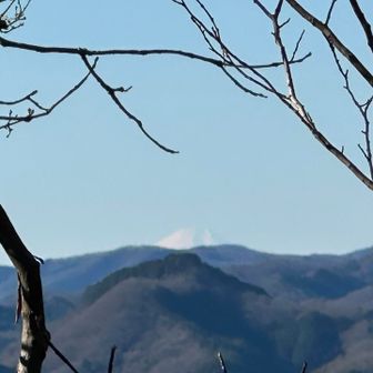 今日は茨城県内
あちこちで【富士山】🗻見えたよね