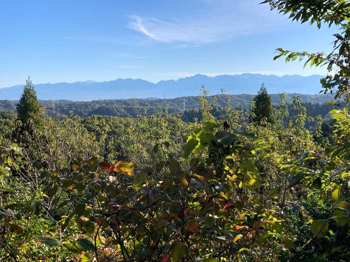 鵯山-天狗山 周回コースの写真