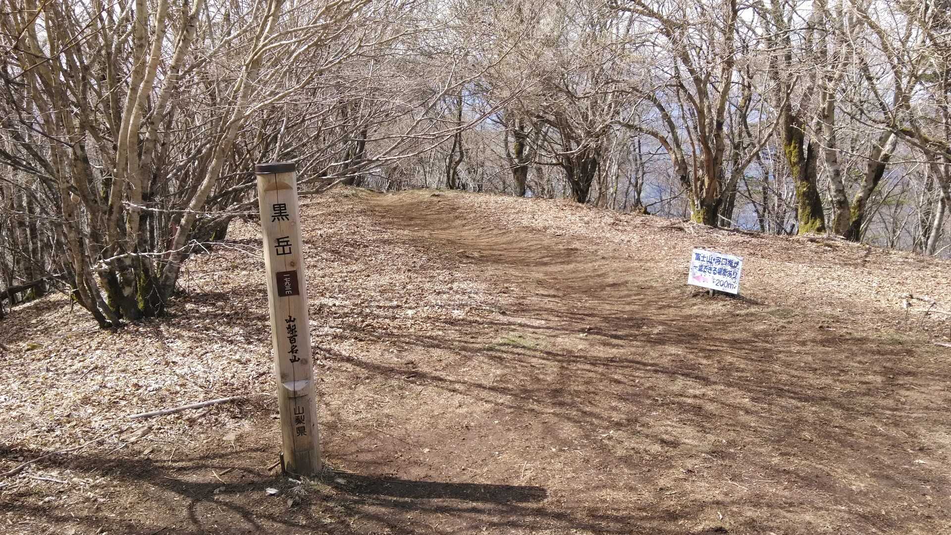 御坂黒岳の写真