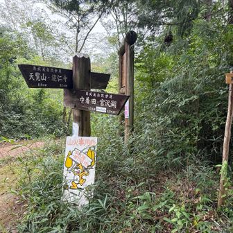 天覧山へ