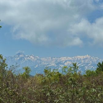 妙高火打はまだ雪山🏔️