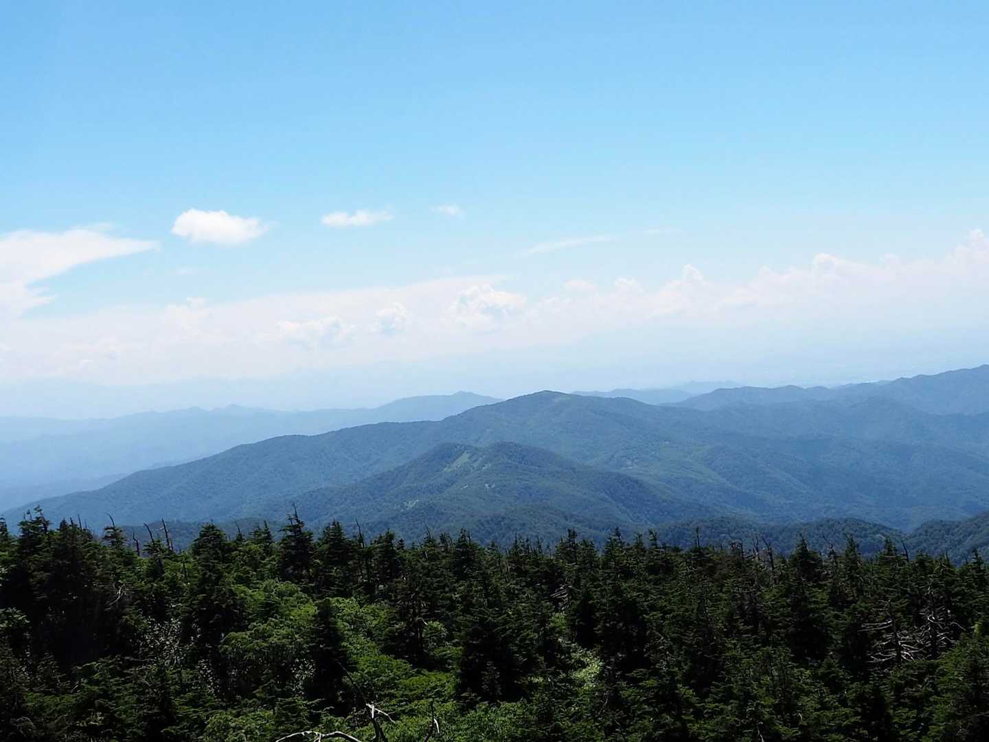刈田峠-前山-杉ヶ峰 往復コースの写真