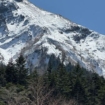 文三郎道アップにゃ
