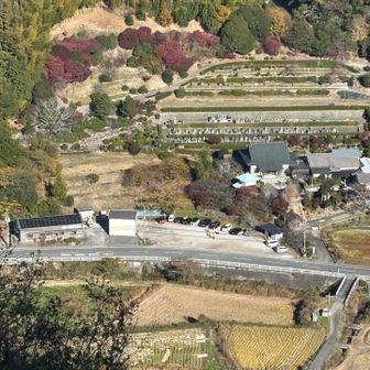 なかなかの高低差