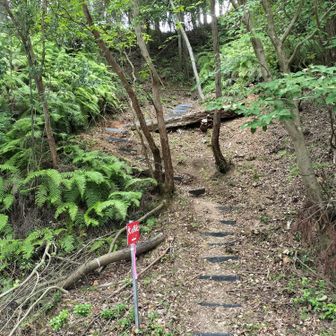p380に向かって鉄塔巡視路を登っていきます。