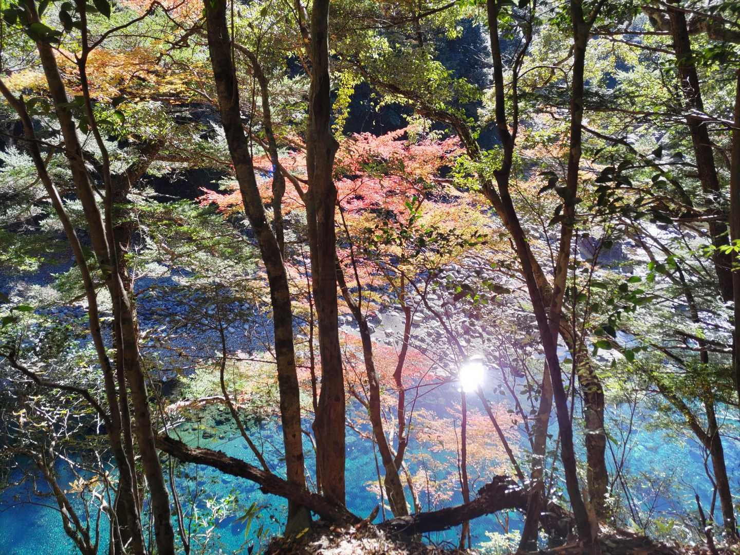 エメラルドグリーンと紅葉🍁