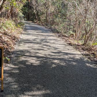 私は初トバリ🍕