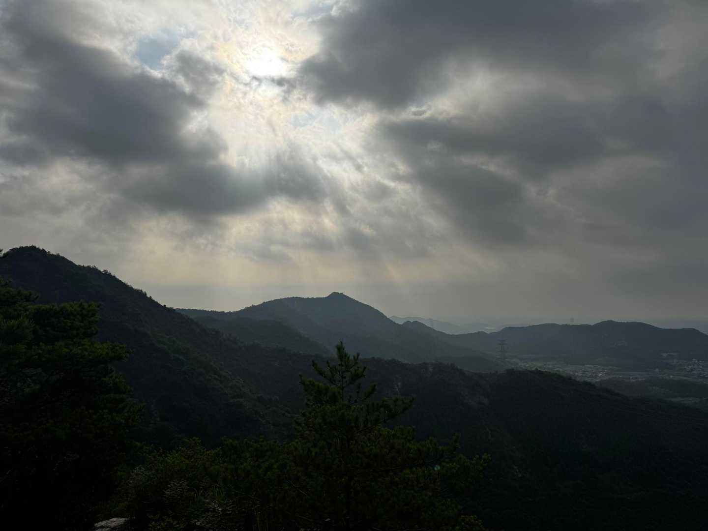 今日は高御位山までは行かず、馬の背から降ります