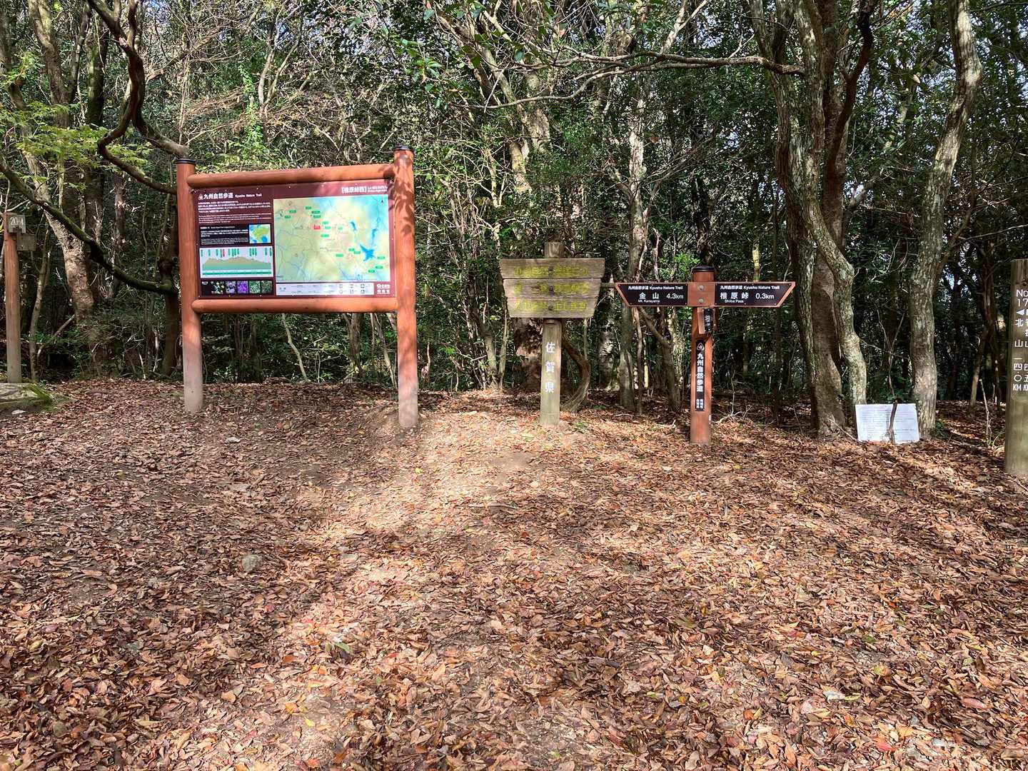 椎葉峠、実は、ここまで、車🚗の道が来てます。振り返れば道路です。佐賀県側はなだらかですからね。