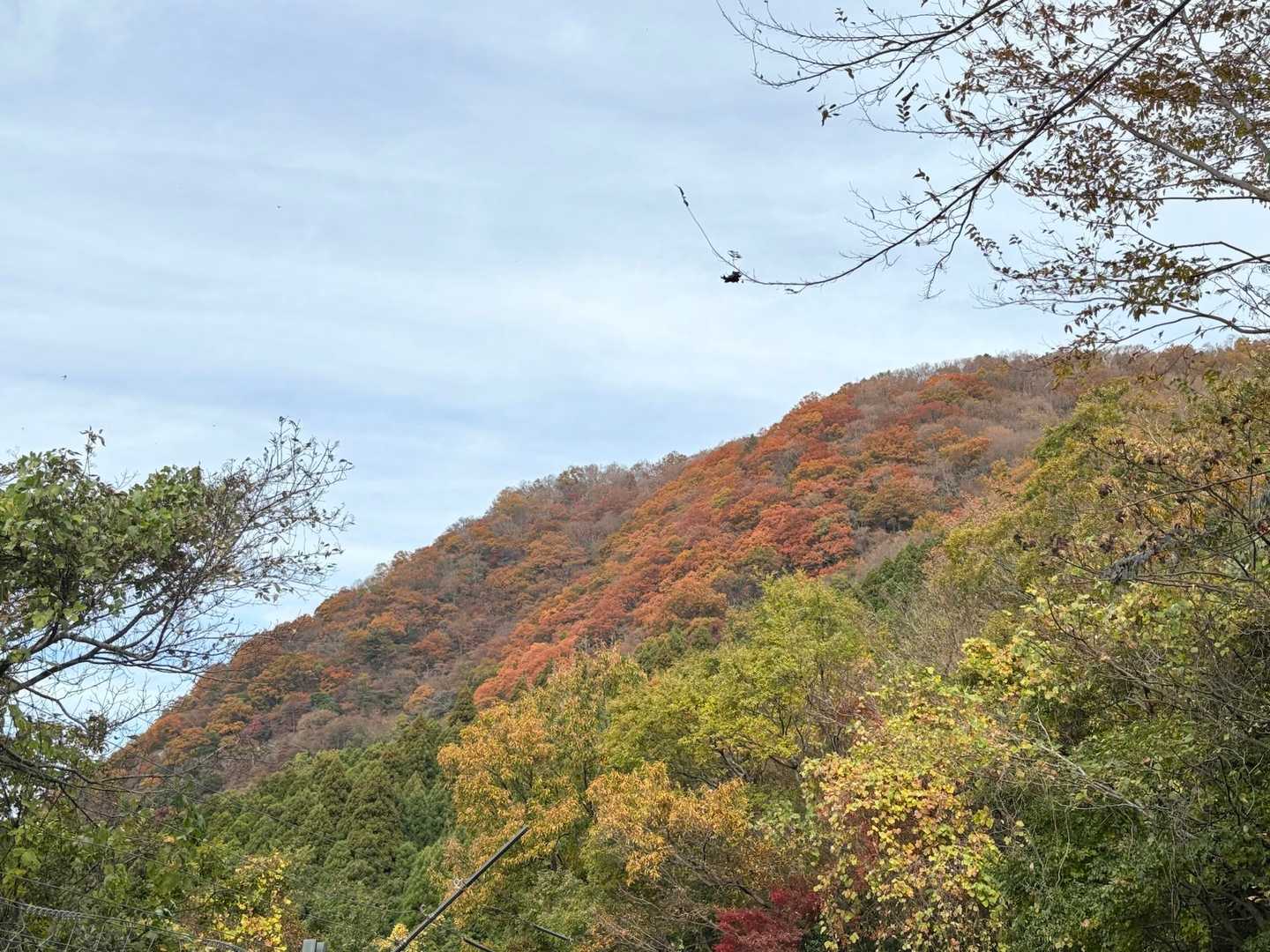 ぐるっと回って山の西側へ💦
雲が広がってきてる〜😓