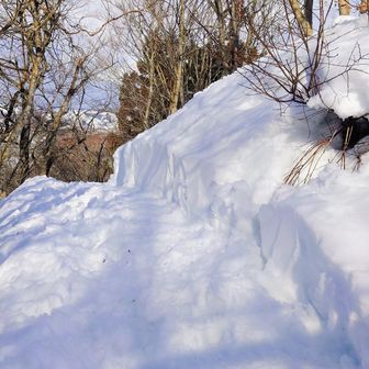 男性が整備して下さり、歩き易くなった登山道