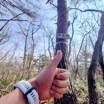 やっとこさ戻る🤣
💦💦💦あぁ〜📉📈疲れた〜〜