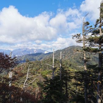 次のピーク白ビソ山へ
