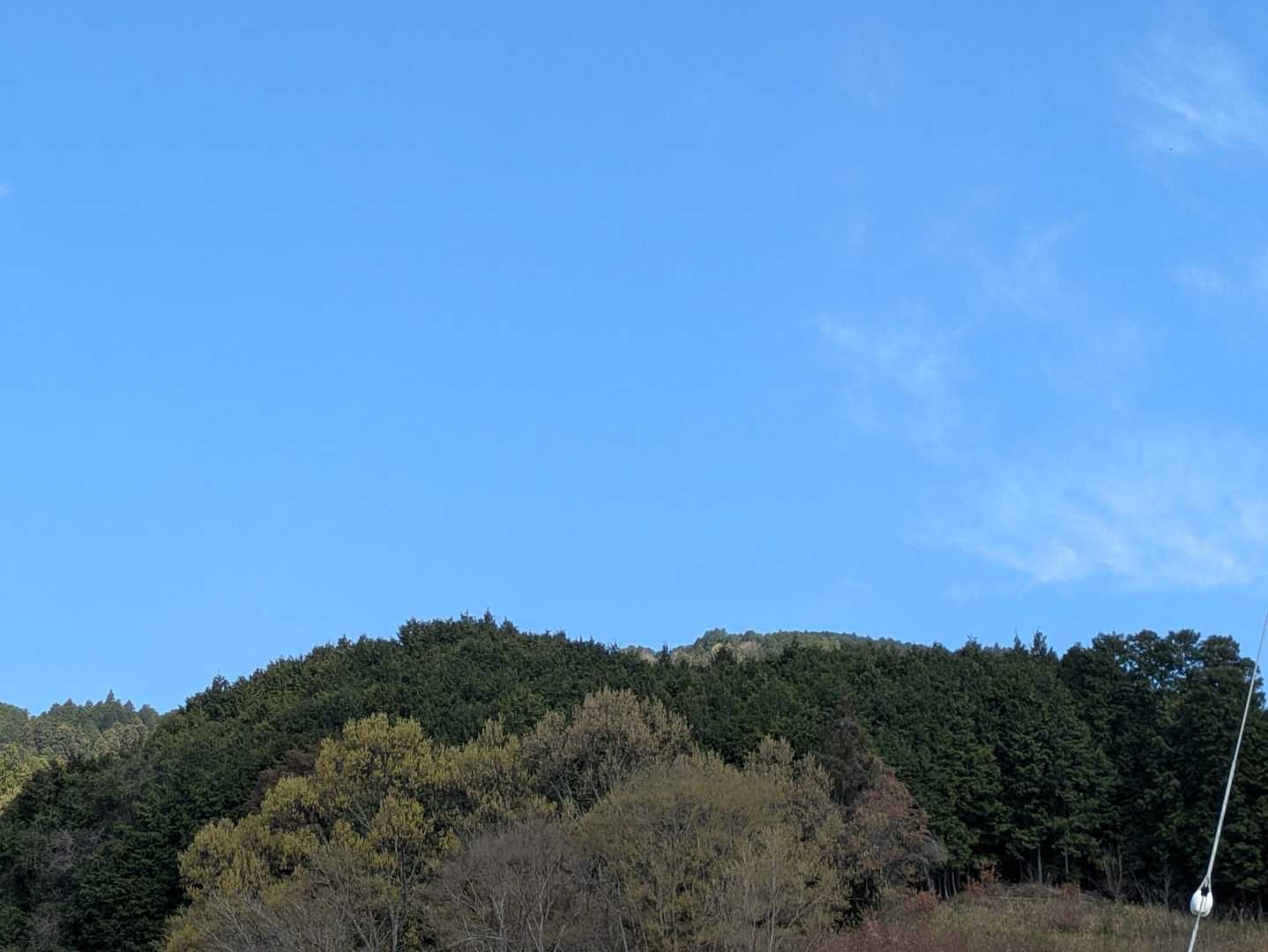 青空💙と緑🌳🌿