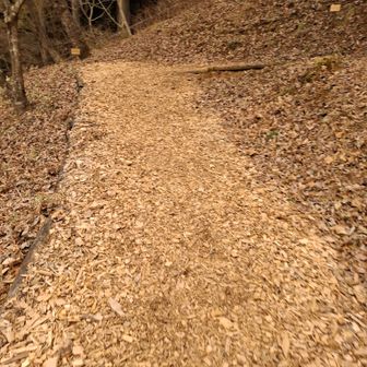 ウッドチップが敷かれてます