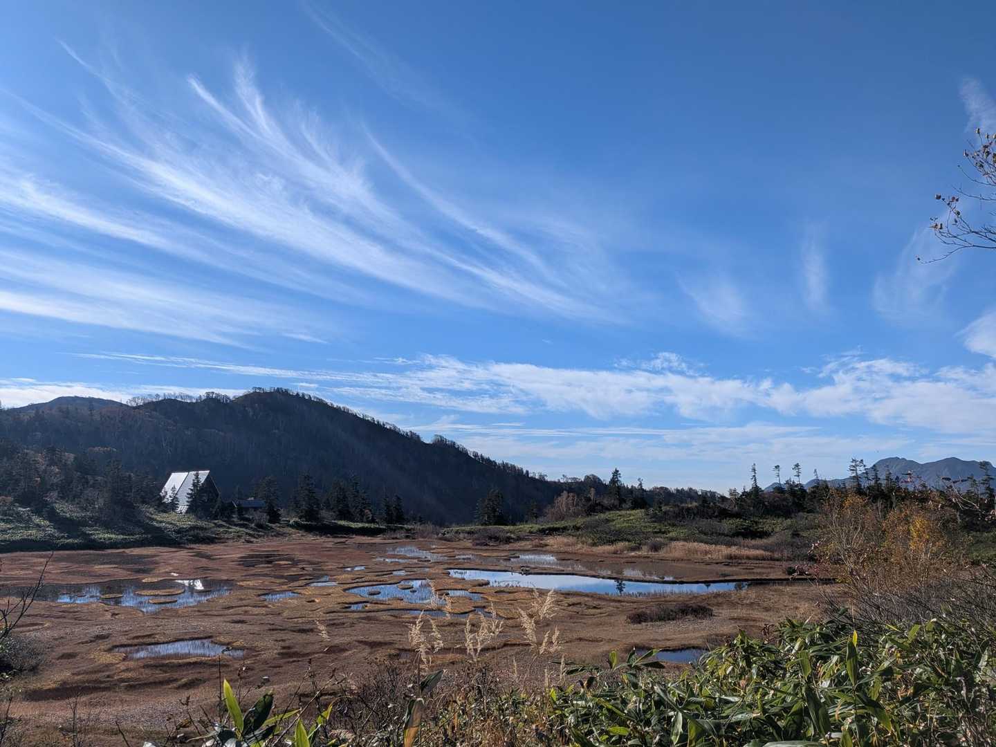 茶臼山-大倉乗越-妙高山-黒沢橋-笹ヶ峰登山口 縦走コースの写真