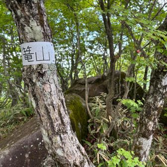 篭山山頂