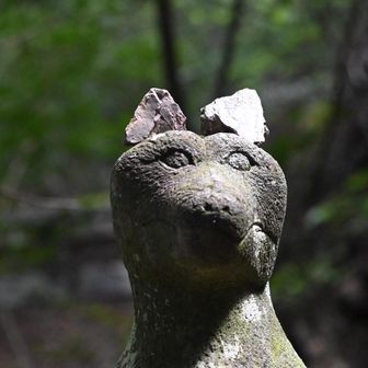 オオカミ様
