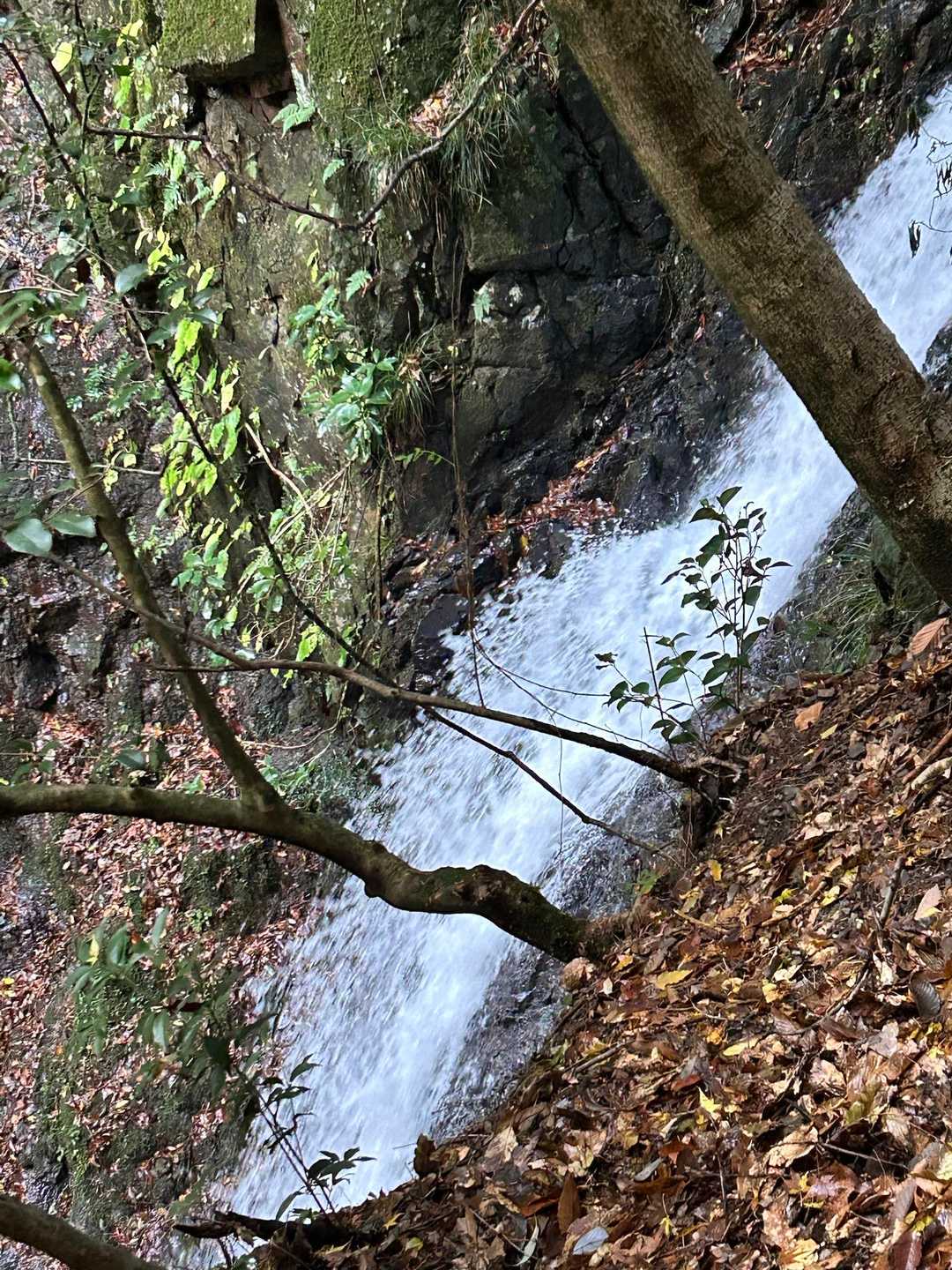 ゴーッて、水量多いし
