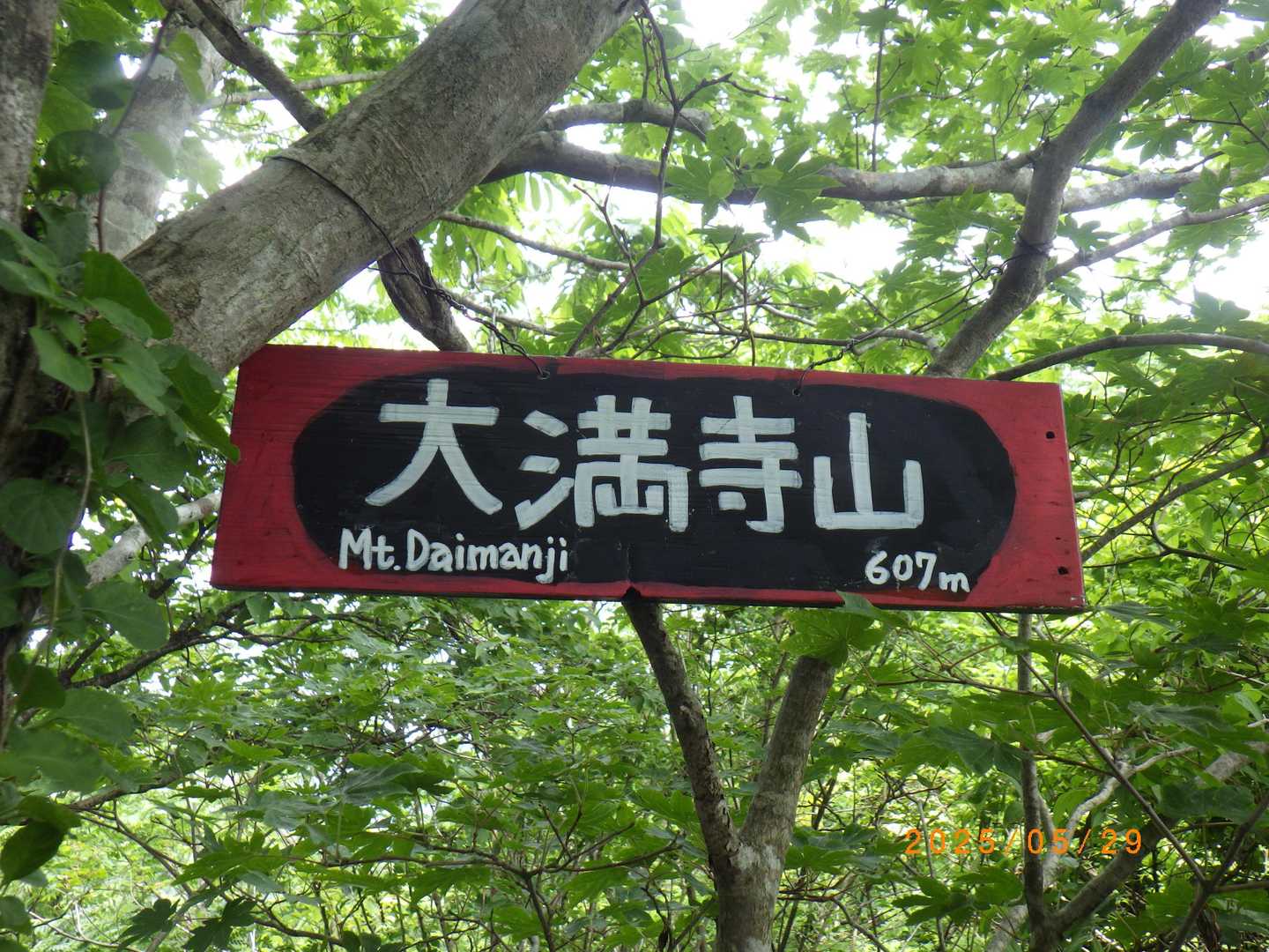 地味な山頂プレートをぶら下げた