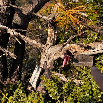 26　北山師岳　269.5m
No.20