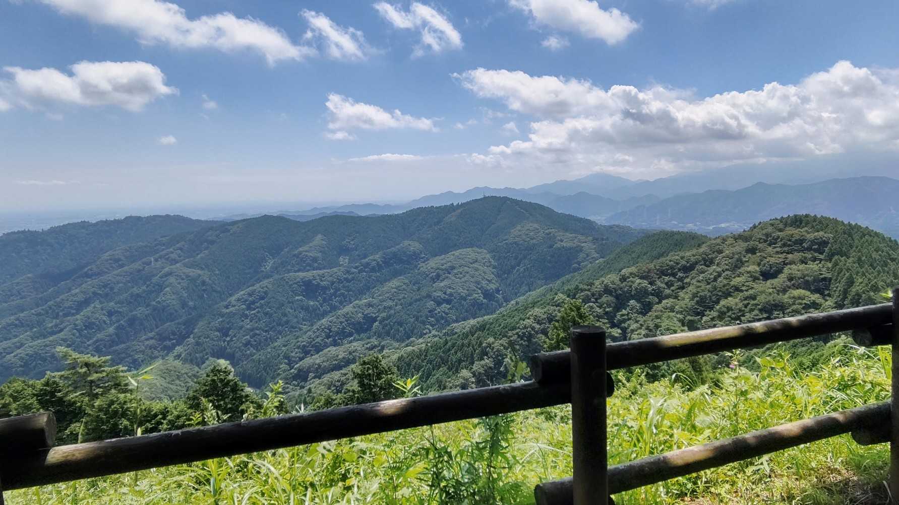 景信山 往復コースの写真