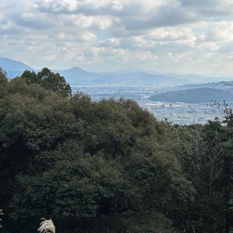 山頂から東は那珂川市
左奥には宝満山