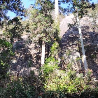 この辺りからロッククライミングをされている方々がいらっしゃいました