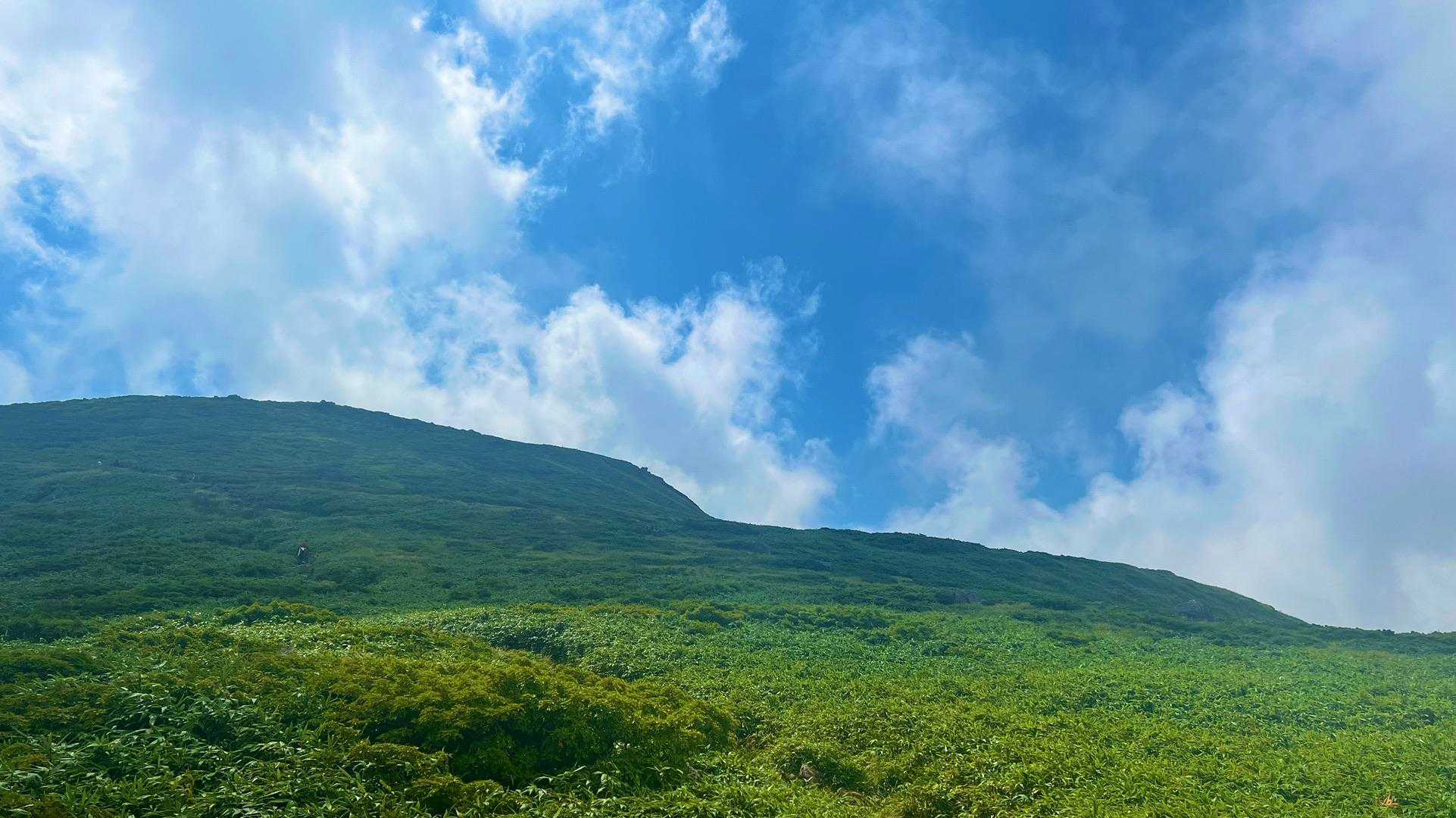 このコース楽しいですね😊
やっぱりコース違うとお山の感じが違いますね✨