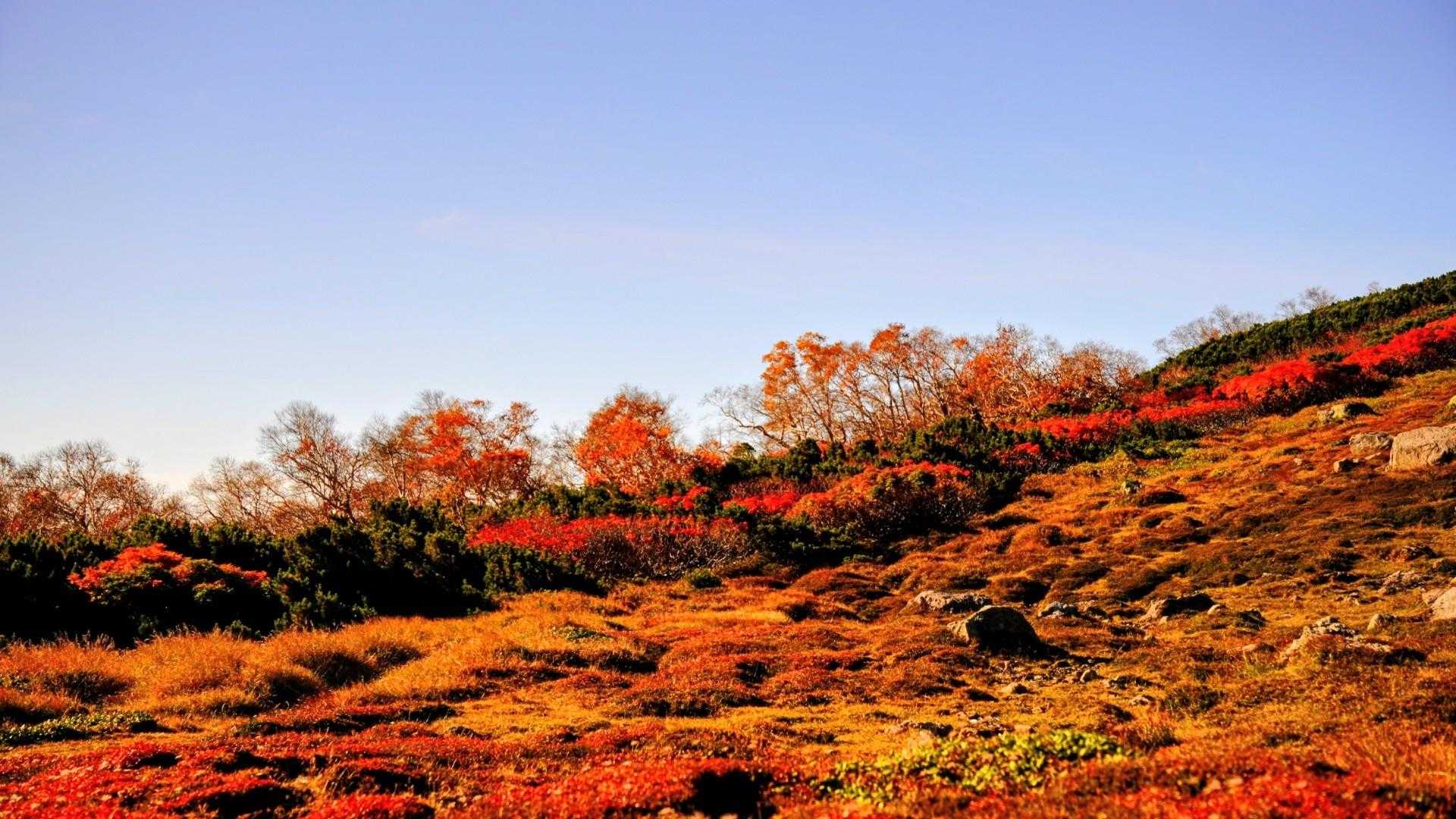 赤岳登山口-第一花園-赤岳 往復コースの写真