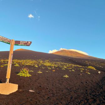 振り返ると、富士山も宝永山も赤色してました。
きっと私も赤かったのでしょう…何の話？