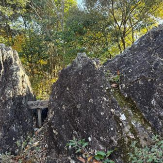 ソッコー下山（写真がなかった🤣）
らくだ岩まで下ってきました🐫