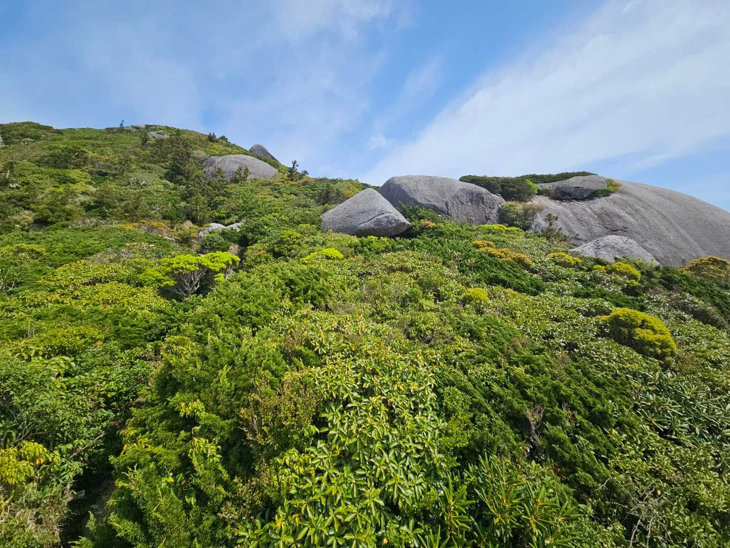 淀川入口-黒味岳 往復コースの写真
