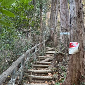 かーいだんは　つづくよー
どーこーまーでーもー(ヤケクソ)
