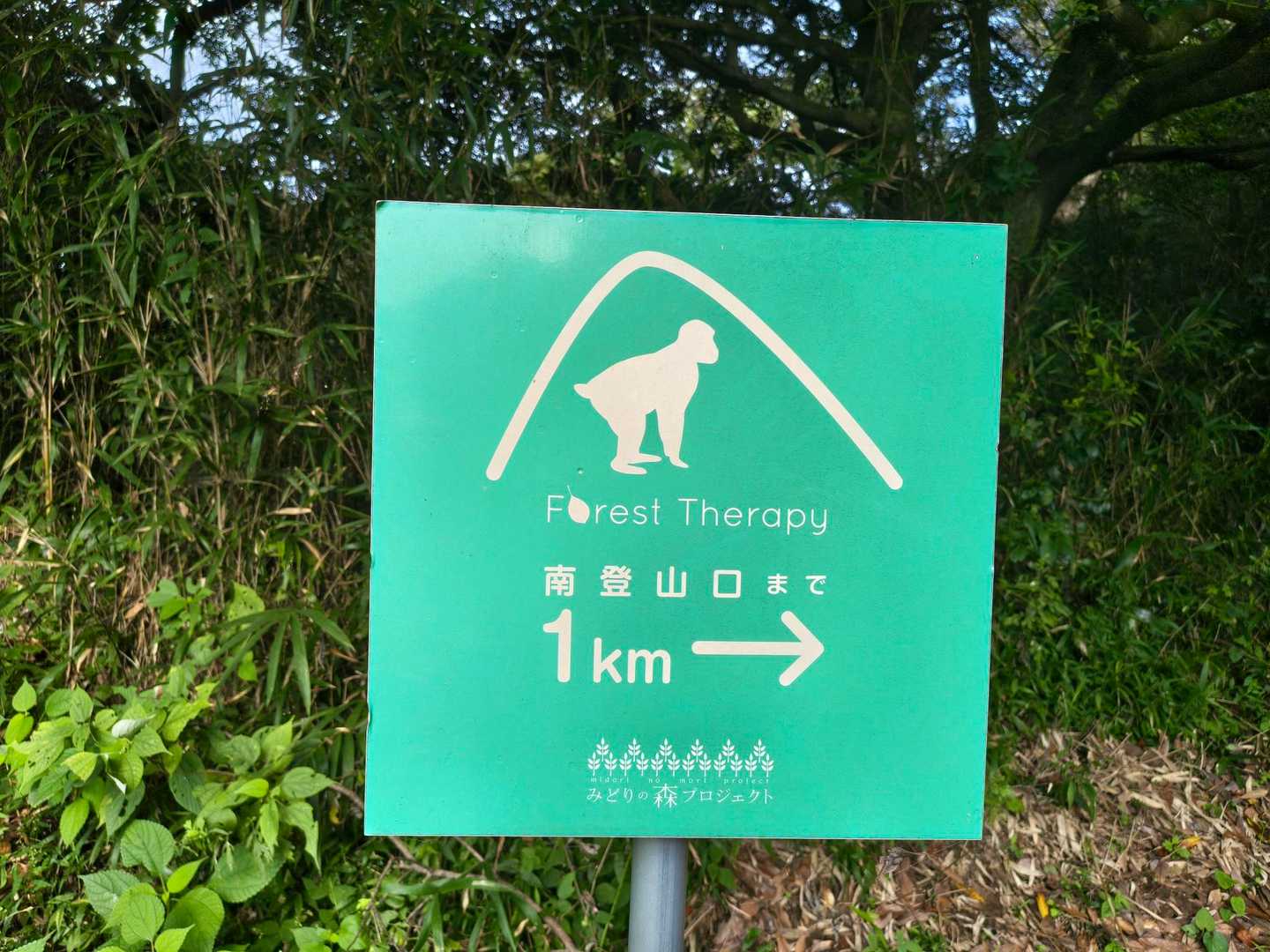 久しぶりの山歩き🎵