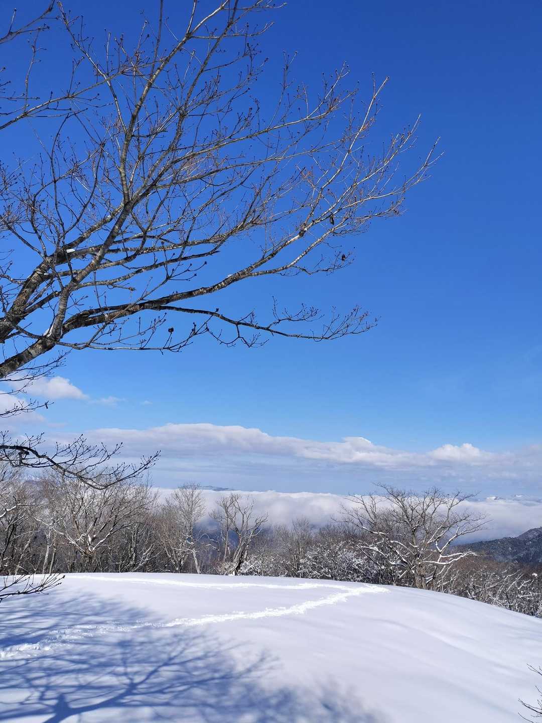 振り返れば広大な雪面にオンリーマイトレース✌️