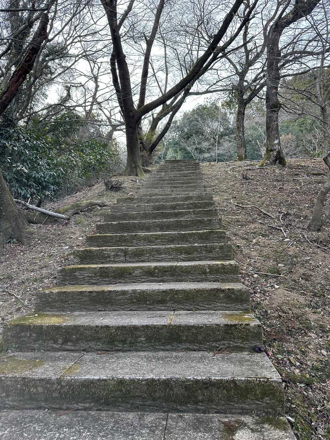 金御岳 往復コースの写真