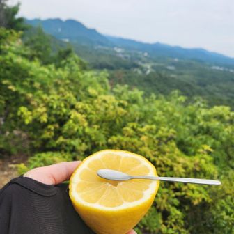 到着してすぐに｢コレ食べ～😊｣っておじ様に頂きました😆
ジューシーなグレープフルーツとスプーンも一緒に✨
ご馳走様でした🙏